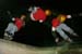Nir Oren - Selected Photographs
