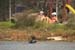 Israel waterski championship
