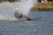 Israel waterski championship