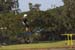 Israel waterski championship