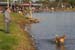 Israel waterski championship
