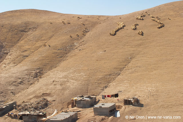 Bedouin Encampment in the Judea Desert