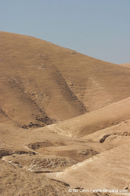 Bedouin Encampment in the Judea Desert