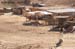Bedouin Encampment in the Judea Desert