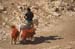 Bedouin Encampment in the Judea Desert