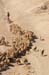 Bedouin Encampment in the Judea Desert