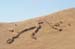 Bedouin Encampment in the Judea Desert