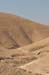 Bedouin Encampment in the Judea Desert