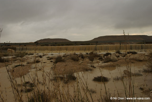 Flood in Wadi Zin / Januar 2005