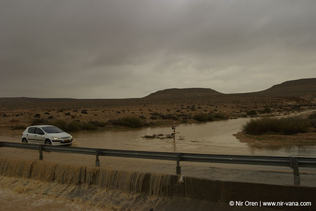 Flood in Wadi Zin / Januar 2005