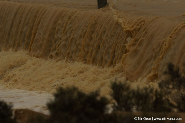 Flood in Wadi Zin / Januar 2005
