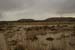 Flood in Wadi Zin / Januar 2005