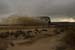 Flood in Wadi Zin / Januar 2005