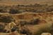 Flood in Wadi Zin / Januar 2005