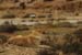 Flood in Wadi Zin / Januar 2005