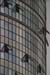 Cloudly autumn day in Shenkin & Tel Aviv center