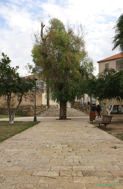 Tel Aviv: Neve Zedek - January 2004