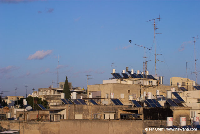The Roofs Of Tel Aviv